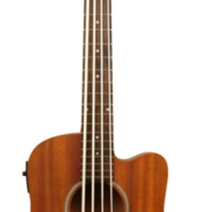 Goldtone GT Series Fretless Microbass