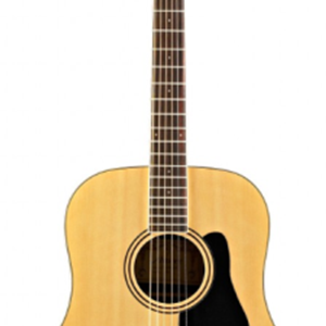Alvarez RF27 Folk Guitar Natural Spruce w/ Deluxe Gig Bag