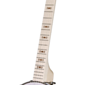 Deering Goodtime 5-String Openback Banjo