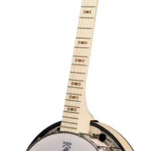 Deering Goodtime Special 5-Sring Banjo