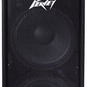 Peavey PV215 Dual 15" 2 Way 700 Watt Passive Speaker