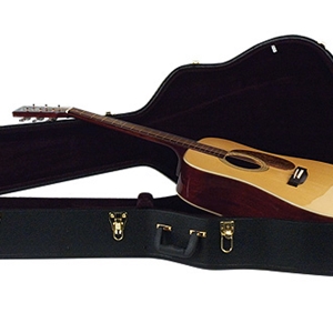 Johnson Dreadnaught Case Acoustic