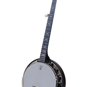 Deering Artisan Goodtime Special Banjo