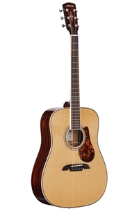Alvarez Bluegrass Dreadnought with Hardshell DC1 Case