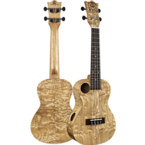Amahi Quilted Ash Snail Ukulele w/ EQ