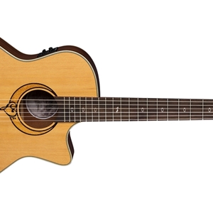 Heartsong Nylon A/E w/USB