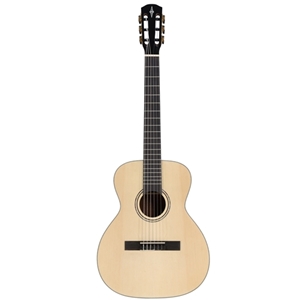 School Series Steel String Student Guitar w/ Gig Bag