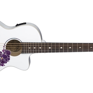 Flora Orchid A/E Classic White