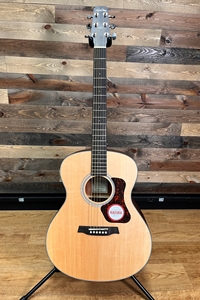 Natura G550E Grand Auditorium, Solid Spruce top, w/ Walden MG-20 Active Electronics
