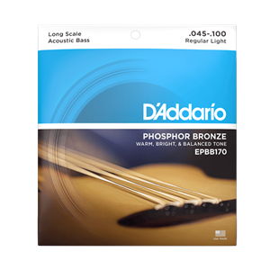 D'Addario Regular Light Long Scale Acoustic Bass Strings