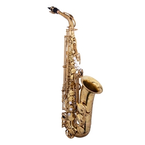 Jupiter Performance Level Alto Saxophone w/Session Series Zippered Case