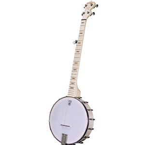 Deering Goodtime 5-String Openback Banjo