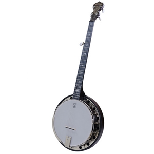 Deering Artisan Goodtime Special Banjo