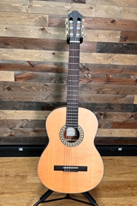 Natura N550E Classical, Solid Spruce top, w/ Walden MG-20 Actice Electronics & Gigbag