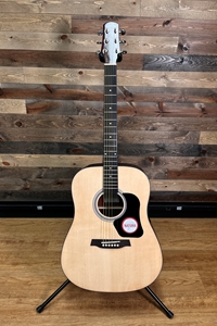 Walden Standard D450 Dreadnought, Solid Spruce top, Laminate Mahogany back and sides, w/ Gig Bag
