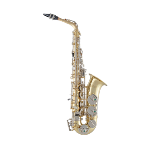 Selmer SAS201 Alto Saxophone