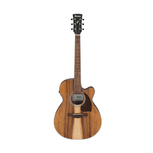 Ibanez PC50WSCE Open Pore Brown Acoustic/Electric